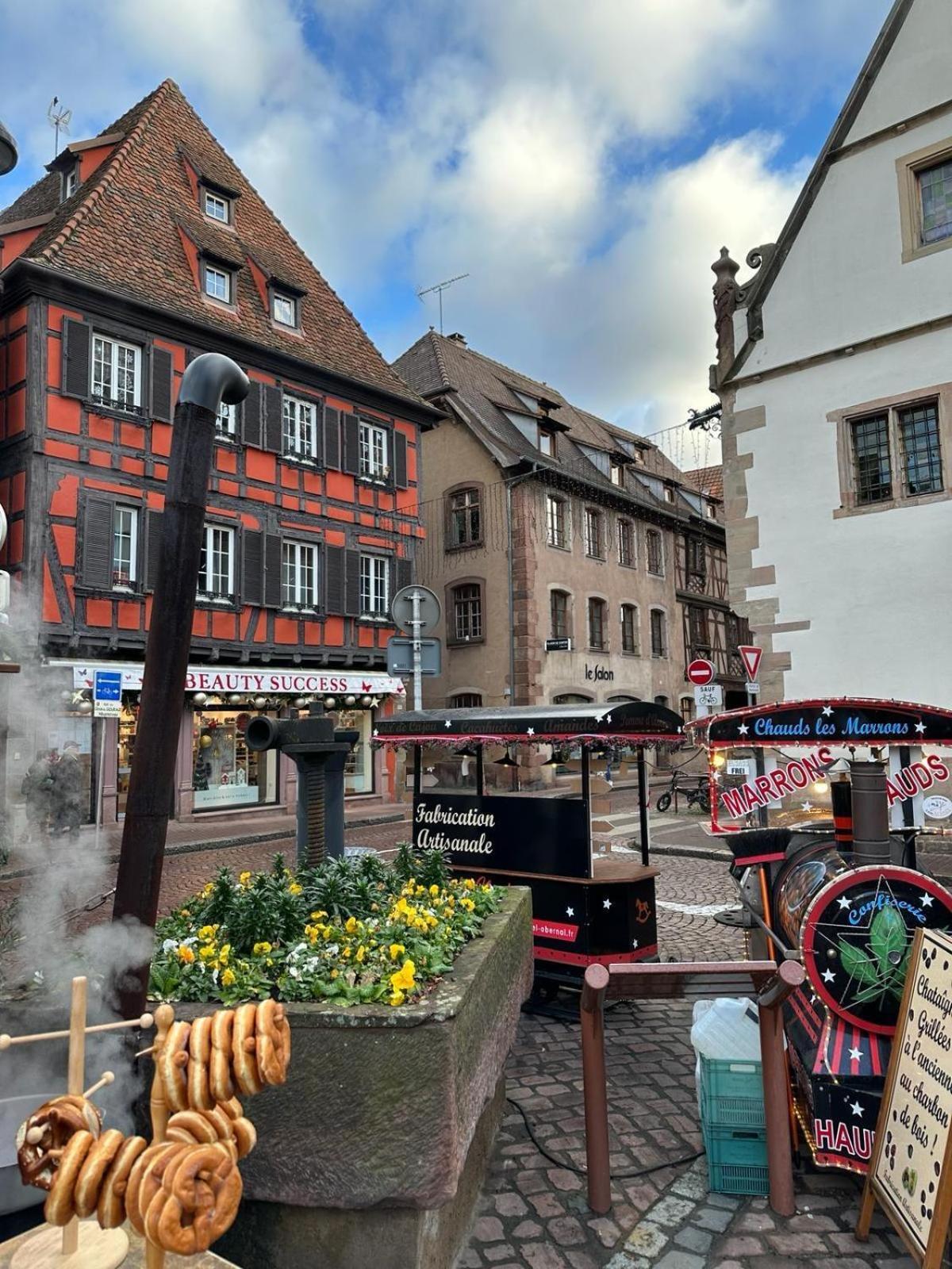 Апартаменти Bienvenue Au Coeur D Alsace-Centre Obernai -3 Etoiles - Екстер'єр фото